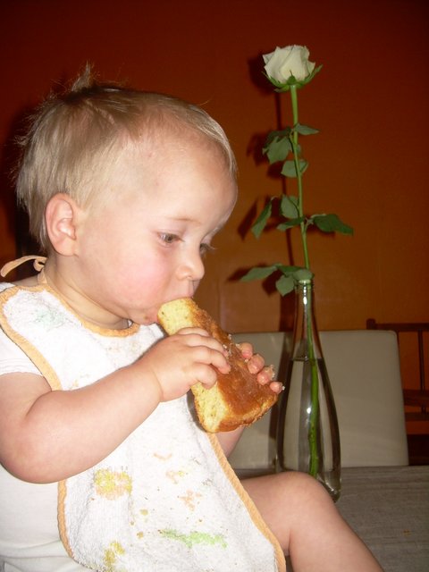 2010 plus de soucis pour manger!!!-001.JPG 2010 plus de soucis pour manger!!!-001.JPG