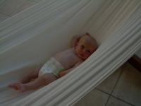 juillet 2007 10 mois apres un hiver agité il se dore au soleil-001.JPG juillet 2007 10 mois apres un hiver agité il se dore au soleil-001.JPG